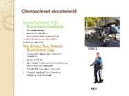 Eksoskelett ettekanne #6