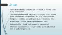 Puidurikked ja puidukaitse #13