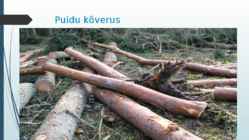 Puidurikked ja puidukaitse #18
