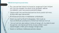 Puidurikked ja puidukaitse #4