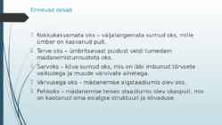 Puidurikked ja puidukaitse #5