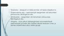 Puidurikked ja puidukaitse #6