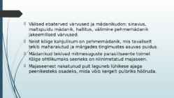 Puidurikked ja puidukaitse #8