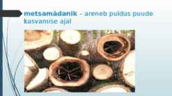 Puidurikked ja puidukaitse #9