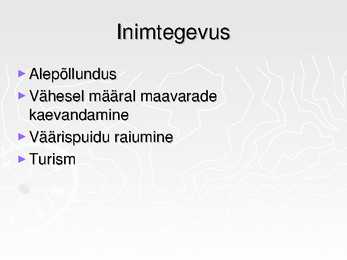Ekvatoriaalsed vihmametsad #17