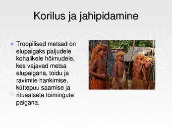 Ekvatoriaalsed vihmametsad #18
