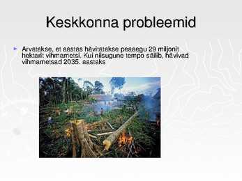 Ekvatoriaalsed vihmametsad #21