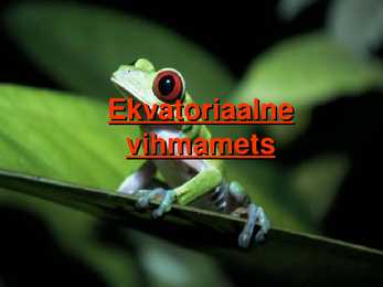 Ekvatoriaalsed vihmametsad