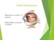 Silm #4
