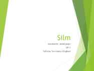 Silm