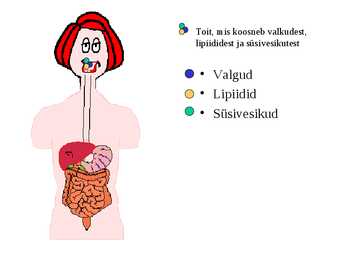 Seedimine #11