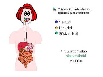 Seedimine #13