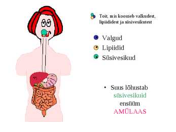 Seedimine #14
