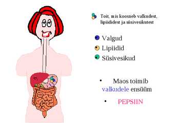 Seedimine #27