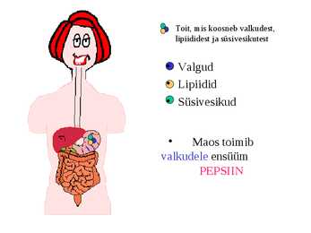 Seedimine #29