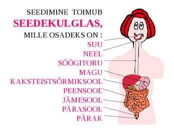 Seedimine #4