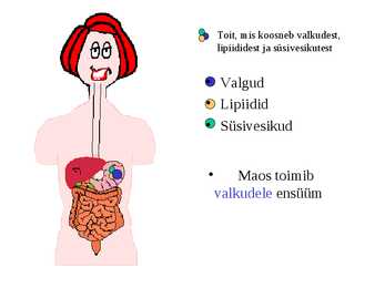 Seedimine #32