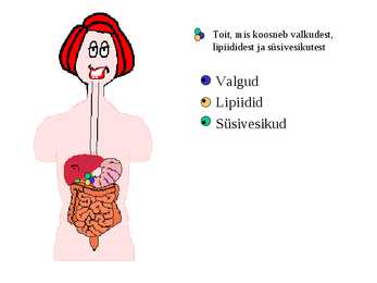 Seedimine #36
