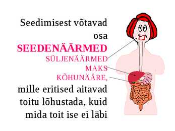Seedimine #5