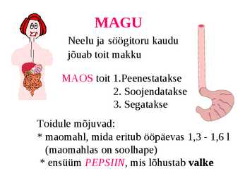 Seedimine #7