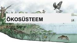 Ökosüsteem ja selle osad