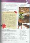 Upstream Intermediate B2 - Teacher book #108