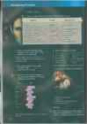 Upstream Intermediate B2 - Teacher book #129
