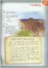 Upstream Intermediate B2 - Teacher book #28