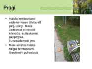 Elukeskkonna head ja vead #8