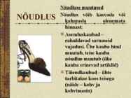 Nõudlus #15