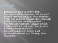 Puidu makroskoopiline ehitus #15