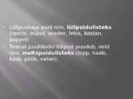Puidu makroskoopiline ehitus #17