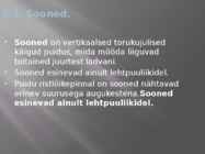 Puidu makroskoopiline ehitus #19