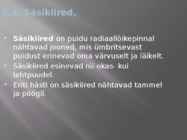 Puidu makroskoopiline ehitus #23