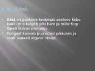 Puidu makroskoopiline ehitus #28