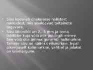 Puidu makroskoopiline ehitus #29