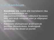 Puidu makroskoopiline ehitus #30