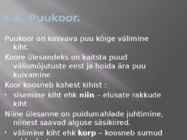 Puidu makroskoopiline ehitus #31