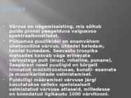 Puidu makroskoopiline ehitus #33
