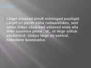 Puidu makroskoopiline ehitus #34