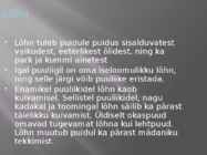Puidu makroskoopiline ehitus #35