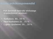 Puidu makroskoopiline ehitus #40