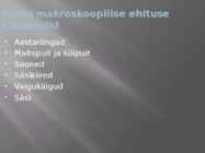 Puidu makroskoopiline ehitus #6