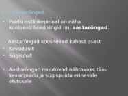 Puidu makroskoopiline ehitus #7