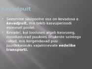 Puidu makroskoopiline ehitus #8