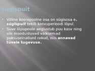 Puidu makroskoopiline ehitus #9
