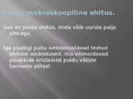 Puidu makroskoopiline ehitus