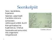 Tupepõletik - Kondüloomid #2
