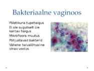 Tupepõletik - Kondüloomid #4