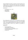 Halogeenid #2
